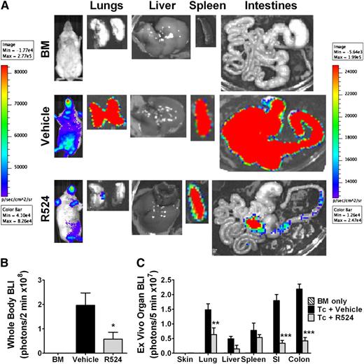 Figure 4. Inhibition of PKCα and θ restricts alloreactive donor T-cell expansion and migration to GVHD target organs. BALB/c mice were irradiated at 800 cGy and transplanted with 5 × 106 WT C57CL/6 TCD-BM cells alone (n = 2 per experiment) or in addition to 1 × 106 total T cells from β-actin luciferase transduced C57BL/6 mice and treated twice daily by gavage with vehicle or 40 mg/kg R524 (n = 4 per group per experiment) beginning on day 0 and continuing daily for 2 weeks. Fourteen days posttransplant, recipients were subjected to intraperitoneal luciferin injection and whole body BLI followed by a second luciferin injection, euthanization, organ removal, and BLI of GVHD target organs (A). Bioluminescence was quantified using whole body (B) or whole organ (C) region of interest gating and signal normalization with Living Image software. Average representative whole body images, ex vivo organ images, and average bioluminescence intensities ± SEM depicted are from 1 representative experiment of 2 separate experiments. *P < .05; **P < .01; ***P < .001 (compared with vehicle-treated controls).