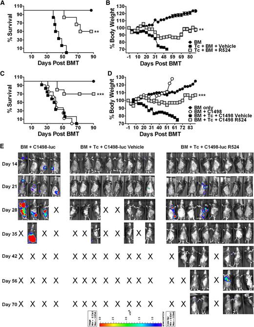Figure 7. GVHD induction is impaired, whereas GVL effects are preserved in R524-treated recipients in an MiHA-mismatch BMT model. C57BL/6 recipients received total-body irradiation (1200 cGy) and were transplanted with donor C3SW.H TCD-BM alone (n = 6) or in combination with 3 × 106 T cells (CD4+, CD8+, CD25–, and CD44–) and treated with vehicle (n = 6) or 40 mg/kg R524 (n = 6) twice daily for 6 weeks beginning on day 0. Additional recipients were intravenously injected with 5 × 104 C1498 luciferase-transduced leukemia cells at the time as BMT (n = 10 vehicle treated and n = 10 R524 treated). Recipients without tumor (A-B) and with tumor (C-E) were monitored throughout the experimental period for survival (A,C) and weight change (B,D). In leukemia recipients, tumor expansion was tracked by luciferin intraperitoneal injection and whole body BLI (E). Leukemia growth was confirmed in recipients at necropsy. Average survival and weight changes across 3 separate repeat experiments and recipient BLI images from 1 of 2 repeating experiments are shown. *P < .05; **P < .01; ***P < .001 (compared with vehicle-treated recipients).