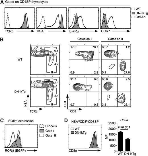 Figure 2. Accumulation of CD4SP cells with a developmentally intermediate phenotype in DN-IkTg thymocytes. (A) Maturation marker expression on CD4SP cells from WT and DN-IkTg thymocytes. Cell surface expression of indicated surface proteins were assessed for WT (open histogram) and DN-IkTg (shaded histogram) cells and overlaid with control Ab staining (dotted line). Data are representative of 13 independent experiments with at least 10 WT and 13 DN-IkTg mice. (B) Developmental arrest in DN-IkTg thymocytes. Contour plots show HSA vs surface TCRβ expression on total thymocytes (left). Box I identifies HSAhiTCRβhi immature thymocytes, which underwent positive selection. Box II indicates HSAloTCRβhi mature postselection thymocytes. CD4 vs CD8 profiles of box I or box II gated thymocytes are shown on the right. Contour plots are representative of 8 independent experiments that analyzed 10 WT and 13 DN-IkTg mice. (C) RORγt expression in RORγt-EGFP.DN-IkTg mouse thymocytes. RORγt transcription (EGFP expression) was assessed in the indicated cell populations of DN-IkTg mice expressing an RORγt-EGFP reporter allele. The histogram is representative of 3 independent experiments with 5 RORγt-EGFP and 9 RORγt-EGFP.DN-IkTg mice. (D) Surface CD8α levels on mature HSAloCD3hi CD8SP thymocytes. The histogram is representative, and the bar graph shows the mean ± SEM, of 7 independent experiments with each 1 WT and 1 DN-IkTg mouse.