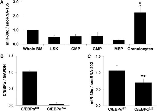 Figure 3. Regulation of miR-30c in inducible C/EBPα-knockout mice. (A) Q-RT-PCR for miR-30c in sorted mouse bone marrow cell populations. Values were normalized with snoRNA-135. Total data are represented as mean ± SD from 3 independent mice. *P ≤ .05. LSK (Lin– cKit+ Sca1− contains hematopoietic cells, both LTHSCs and STHSCs), CMP (common myeloid progenitors), GMP (granulocyte-macrophage precursors), MEP (megakaryocyte-erythrocyte precursors), and granulocytes. (B-C) Q-RT-PCR for C/EBPα (B) and miR-30c (C) was carried out using bone marrow cells derived from poly(I:C)-injected C/EBPαfl/fl;Mx-Cre (C/EBPαΔ/Δ) and C/EBPαfl/fl control. Values were normalized with GAPDH and snoRNA-202, respectively, and further to the expression of C/EBPαfl/fl control. Total data are represented as mean ± SD from 5 independent mice. **P ≤ .005.