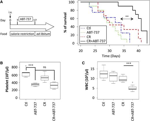 Figure 2. CR increases the lifespan of mice that receive ABT-737 treatment. (A) Syngeneic C57BL/6 mice were intravenously injected with lymphoma cells that were isolated from Eµ-Myc/WT mice and fed ad libitum or under CR for 17 days. Seven days after intravenous injection, mice were treated or not for 10 days with 75 mg/kg ABT-737. Next, all mice were fed ad libitum until the time of ethical euthanasia (see the experimental procedure scheme, left panel). Lifespans of the mice from the beginning of each treatment regimen are indicated for each group (control vs CR + ABT-737: median survival, 30 and 41 days, respectively; n = 10; P = .00005; CR vs CR + ABT-737: median survival, 30 and 41 days, respectively; n = 9 and n = 10, respectively; P = .0061; ABT-737 vs CR + ABT-737: median survival, 33 and 41 days, respectively; n = 8 and n = 10, respectively; P = .00048). (B) Numbers of platelets were measured in each group at 14 days after the intravenous injection of Eµ-Myc cells (control, n = 5; CR and CR + ABT-737, n = 4 for ABT-737). (C) Numbers of WBCs were analyzed in each group 21 days after the intravenous injection of Eµ-Myc cells (control, n = 7; ABT-737 and CR + ABT-737, n = 8; CR, n = 9). In vivo experiments were conducted twice with similar results. **P < .01; ***P < .001. i.v., intravenous.; ns, nonsignificant