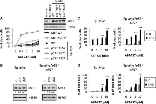 Figure 3. CR mimetics restore the sensitivity of primary Eµ-Myc cells to ABT-737, independently of p53. (A) The indicated MEF and Eµ-Myc lymphoma cells were treated with increased concentrations of ABT-737 for 20 hours. Cell death was determined by propidium iodide (PI) staining and analyzed by fluorescence-activated cell sorter (FACS). The insert shows Mcl-1 expression. (B) Eµ-Myc/WT or Eµ-Myc/p53−/− cells were incubated with 2DG 100 µg/mL or LND 100 µM for 20 hours, and the level of Mcl-1 was analyzed by immunoblot. In (A) and (B), HSP60 was used as a loading control. Quantifications of Mcl-1 over HSP60 levels are indicated. (C-D) Indicated cells were treated with 1, 5, or 10 µM ABT-737 with or without 75 µg/mL 2DG (C) or 100 µM LND (D). The percentage of PI-positive dead cells was measured as in (A). The results are expressed as the mean ± standard deviation (SD) from 3 independent experiments. Each experiment was performed on cells from 3 independently derived lymphomas. ***P < .001.
