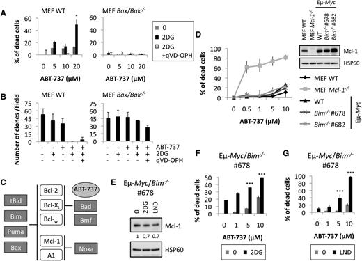 Figure 4. Loss of Bim does not prevent the CR-mediated sensitization to ABT-737–induced cell death in primary Eµ-Myc cells. (A) WT or Bak/Bak double-knockout MEF cells were incubated with indicated amount of ABT-737 for 20 hours with or without 500 µg/mL 2DG with or without 20 µM qVD-OPH, and cell death was measured as in Figure 3A. (B) Indicated cells were treated with 20 µM ABT-737 ± 500 µg/mL 2DG ± 20 µM qVD-OPH. After 4 days, the number of clones was counted. (C) Schematic representation of the interaction between the pro- and antiapoptotic members of the Bcl-2 family. (D) The indicated MEF and Eµ-Myc cells were incubated with 0.5, 1, 5, or 10 µM ABT-737. The percentage of PI-positive cells was determined by FACS. Insert: immunoblot of Mcl-1 expression. (E) Eµ-Myc/Bim−/− cells were incubated with 2DG 100 µg/mL or LND 100 µM for 20 hours, and the levels of Mcl-1 were analyzed by immunoblot. HSP60 was used as a loading control. Quantifications of Mcl-1 over HSP60 levels are indicated. (F-G). Eµ-Myc/Bim−/− cells were treated with the indicated doses of ABT-737 in the presence or not of 2DG 75 µg/mL (F) or LND 100 µM (G) for 20 hours. Cell death was measured as in Figure 3A. Results shown are mean ± SD from 3 independent experiments. Each experiment was performed on cells from 2 independently derived lymphomas. ***P < .001.