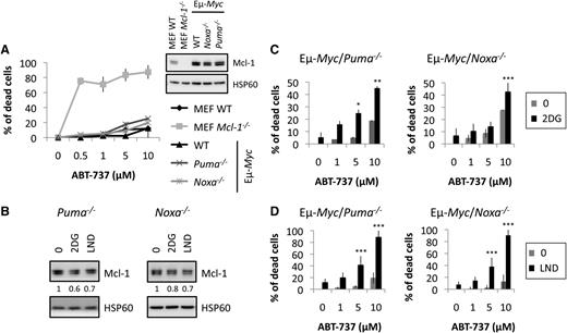 Figure 5. Sensitization of primary Eµ-Myc cells to ABT-737–induced death by CR mimetics is independent of Puma or Noxa. (A) MEF and indicated Eµ-Myc cells were incubated with varied doses of ABT-737 for 20 hours. Dead cells were counted by PI staining and analyzed by FACS. The insert shows Mcl-1 expression. (B) Eµ-Myc/Noxa−/− and Eµ-Myc/Puma−/− cells were incubated with 2DG 100 µg/mL or LND 100 µM for 20 hours, and the levels of Mcl-1 were analyzed by immunoblot. HSP60 was used as a loading control. Quantifications of Mcl-1 over HSP60 levels are indicated. (C-D) Eµ-Myc/Puma−/− and Eµ-Myc/Noxa−/− cells were treated with the indicated doses of ABT-737 with or without 2DG 100 µg/mL (C) or LND 100 µM (D) for 20 hours. Cell death was determined as in Figure 3A. The results represent the mean ± SD from 3 independent experiments. *P < .05, **P < .01, ***P < .001.