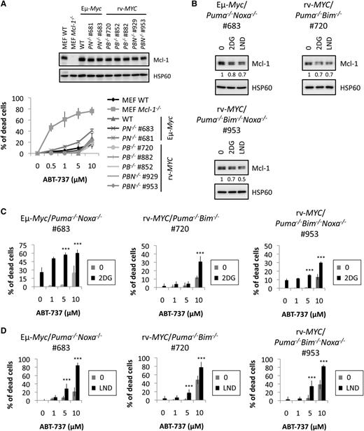 Figure 6. There is no compensatory effect of Bim, Puma, or Noxa on the CR mimetics–mediated sensitization to ABT-737–induced death. (A) The indicated cells were treated for 20 hours with increasing doses of ABT-737. Cell death (percentage of PI-positive cells) was determined by FACS. The insert shows Mcl-1 expression in the indicated cell types. (B) The indicated cells were incubated with 2DG 100 µg/mL or LND 100 µM for 20 hours, and the levels of Mcl-1 were analyzed by immunoblot. HSP60 was used as a loading control. Quantifications of Mcl-1 over HSP60 levels are indicated. (C-D) The indicated cells were treated for 20 hours with 1, 5, or 10 µM ABT-737 with or without 2DG 100 µg/mL or LND 100 µM. Dead cells were counted as in Figure 3A. The results represent the mean ± SD of 3 independent experiments. Each experiment was performed on cells from 2 independently derived lymphomas for each genotype. ***P < .001.
