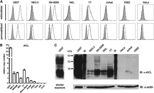 Figure 1. AICL expression by human NK cell lines. Expression of AICL by human cell lines probed by flow cytometry, quantitative PCR (qPCR), and immunoblotting. (A) Cell surface expression of AICL (upper) by human NK cell lines (NK3.3, NK-92MI, NKL, YT) and other human cell lines (U937, Mono Mac6, Jurkat, K562, HeLa, 293) was assessed by flow cytometric analysis using anti-AICL mAb 7F12 (open histograms). For detection of total AICL protein, cells were permeabilized prior to incubation with 7F12 (lower). Isotype control stainings are shown in gray. (B) Levels of AICL transcripts in human cell lines. Relative levels of AICL transcripts in cell lines (including the primate cell line COS-7) were determined by qPCR and set relative to levels of NKL (arbitrarily set as 1). Means of triplicates are shown with standard deviations. (C) Total AICL protein in human cell lines as determined by immunoblotting. Cell lysates (same samples as in panel A) were separated by SDS-PAGE under reducing conditions and, after blotting, probed with anti-AICL mAb 7G4. For U937, signals after shorter exposure are also shown. Actin detection served as loading control. (A-C) One representative experiment out of 3 is shown.