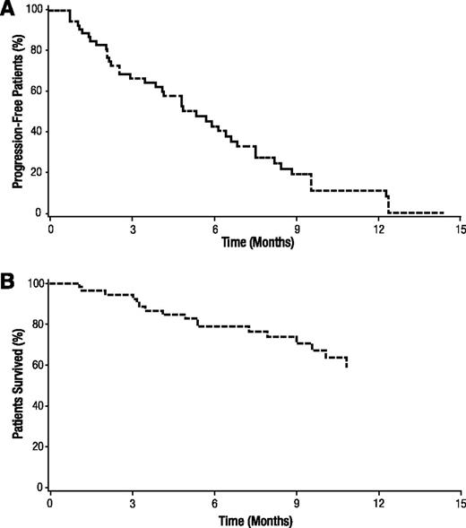 Figure 2. Progression-free survival and overall survival. Kaplan-Meier analyses of (A) progression-free survival and (B) overall survival.