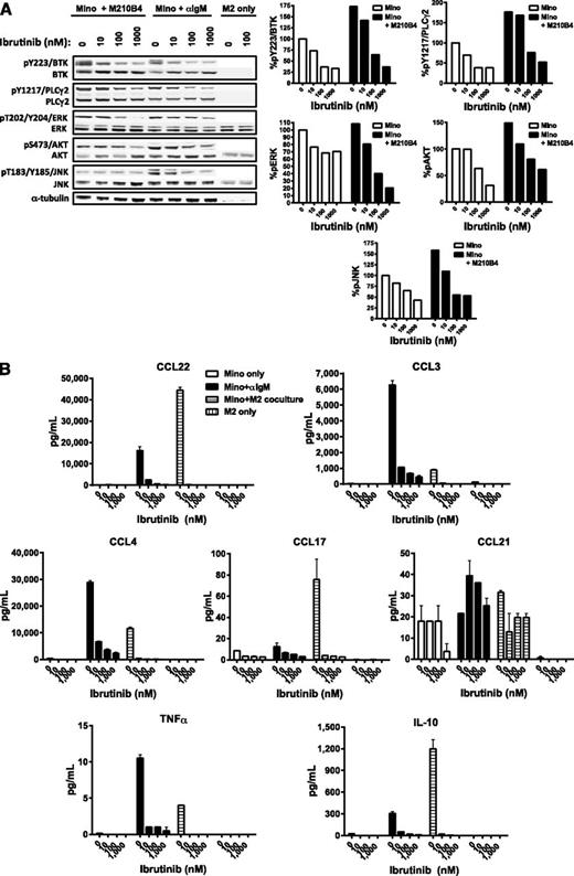 Figure 4. Ibrutinib suppresses BCR- and coculture-stimulated signaling and cytokine and chemokine production of MCL cells. (A) Mino cells pretreated with vehicle or ibrutinib (10, 100, or 1000 nM) were cultured alone (with anti-IgM stimulation) or in coculture with murine M2-10B4 stromal cells. M2-10B4 cells alone were pretreated with either vehicle or 100 nM ibrutinib (M2 only). Mino cells in coculture, Mino cells alone, or M2-10B4 cells alone were collected after 48 hours, lysed, and subjected to sodium dodecyl sulfate polyacrylamide gel electrophoresis and western blot analysis of pY223 BTK, pY1217 PLCγ2, pT202/Y204 ERK, pS473 AKT, and pT183/Y185 JNK. The phosphoblot was scanned, and signals were quantified (right panel); pBTK, pPLCγ2, pERK, pAKT, and pJNK signals were normalized to BTK, PLCγ2, ERK, AKT, and JNK total protein, respectively. Signals from each treatment were compared with vehicle-treated Mino cells. (B) Conditioned media from Mino cells only without stimulation, Mino cells stimulated with anti-IgM, or Mino cells in coculture with M2-10B4 or M2-10B4 alone were collected after 48 hours and analyzed for human cytokines and chemokines (IL-10, CCL22, CCL3, CCL4, TNF-α, CCL17, and CCL21). Note media from murine M2 cells alone do not react with human cytokines or chemokines.