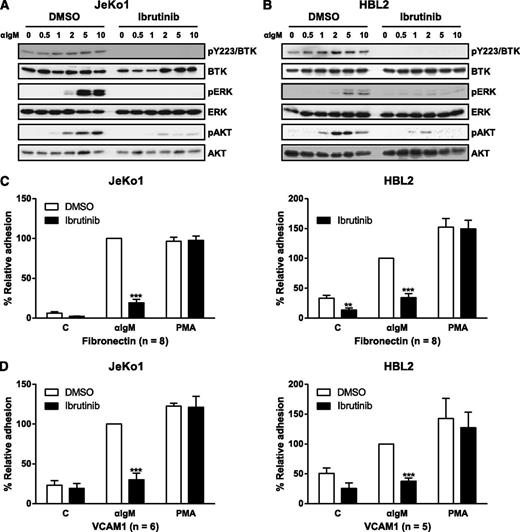 Figure 5. Ibrutinib inhibits BCR-activated adhesion of MCL cells. (A-B) Jeko1 or HBL2 cells pretreated with 100 nM ibrutinib or DMSO vehicle were stimulated with anti-IgM for 0, 0.5, 1, 2, 5, or 10 minutes and then immunoblotted for pBTK (Y223), pERK, and pAKT. (C-D) Jeko1 and HBL2 cells pretreated with drug were subjected to adhesion assays on plates precoated with anti-IgM and either (C) fibronectin or (D) VCAM-1. PMA stimulations were used as a positive control for the assay and to show specificity of drug response. The n values represent the number of independent experiments performed in triplicate; the average of these experiments is displayed. **P < .01; ***P < .001. One-way ANOVA compared with vehicle control. PMA, phorbal 12-myristate 13-acetate.