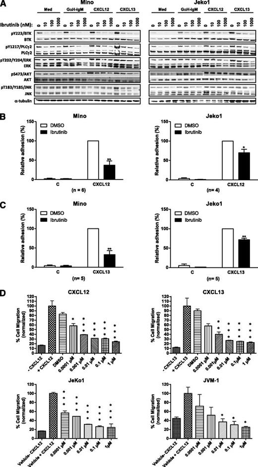 Figure 6. Ibrutinib inhibits CXCL12-/CXCL13-activated adhesion and migration of MCL cells. (A) Mino (left panel) or Jeko1 (right panel) cells pretreated with vehicle or ibrutinib 10, 100, or 1000 nM were either stimulated with anti-IgM, CXCL12, or CXCL13 or treated with medium (Med) for 15 minutes and then immunoblotted for pBTK, pPLCγ2, pAKT, pERK, and pJNK. (B-C) Mino or Jeko1 cells were treated with 100 nM ibrutinib and subjected to adhesion assays on plates precoated with (B) CXCL12 or CXCL13 and fibronectin or (C) VCAM-1. The n values represent the number of independent experiments performed in triplicate; the average of these experiments are displayed. (D) Cells from MCL cell lines Mino, Jeko1, and JVM-1 were treated with increasing concentration of ibrutinib and subjected to a chemotaxis migration assay in transwell plates with filters coated with VCAM-1, and CXCL12 or CXCL13 was added into the lower chamber as a chemoattractant. Ibrutinib dose-dependently inhibited CXCL12- and CXCL13-mediated migration of Mino cells, and CXCL12-mediated migration of Jeko1 and JVM-1 cells. *P < .05; **P < .01; ***P < .001. One-way ANOVA compared with vehicle control.