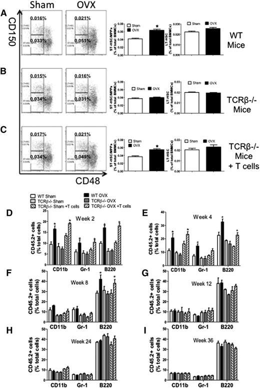 Figure 2. Effect (mean + SEM) of ovx on the expansion of ST-HSPCs and LT-HSPCs in T cell–replete and T cell–deficient mice. (A-C) Effects of ovx on the relative frequency of CD150−CD48− LSK cells (ST-HSPCs/MPPs) and CD150+CD48− LSK cells (LT-HSPCs) in WT, TCRβKO, and TCRβKO mice previously reconstituted with T cells. (Left) Representative flow cytometric dot plots from 1 mouse per group using the signalling lymphocyte activation molecule receptors CD150 and CD48. Parent population is Lin−Sca1+c-Kit+. The upper boxes delineate LT-HSPCs. The lower boxes delineate ST-HSPCs + MPPS. (Right) Mean + SEM for each group. Data are expressed as percentage of BMMCs. n = 10 mice per group. (D-I) Effect of ovx on peripheral blood cell expansion after primary competitive repopulation. The panels show the percentage of CD45.2+ myeloid cells (CD11b+), granulocytic cells (GR-1+), and B lineage cells (B220+) in the peripheral blood of lethally irradiated WT recipient mice that received CD45.2+ BM donor cells mixed in a 1:2 ratio with CD45.1+ competitor BM cells. CD45.2+ BM cells were obtained from WT, TCRβKO, and reconstituted TCRβKO mice subjected to sham operation or ovx 2 weeks earlier. CD45.1+ BM cells were obtained from intact WT mice. *P < .05 compared with the corresponding sham-operated group.