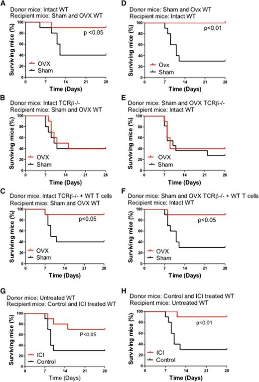 Figure 3. Effects of ovx and of the antiestrogen ICI 182780 on the survival of lethally irradiated WT mice transplanted with a limiting number of BM cells derived from WT mice, TCRβ−/− mice, and TCRβ−/− mice previously subjected to adoptive transfer of T cells. (A-C) Donor mice were intact. Recipient mice were sham operated or ovx 2 weeks before BM transplantation. (D-F) Donor mice were sham operated or ovx 2 weeks before BM transplantation. Recipient mice were intact. (G) Donor mice were untreated. Recipient mice were treated with vehicle or ICI182780 (100 μg/mouse subcutaneously, twice a week for 4 weeks) starting at the time of transplantation. (H) Donor mice were treated with vehicle or ICI182780. Recipient mice were untreated. n = 10 per group.