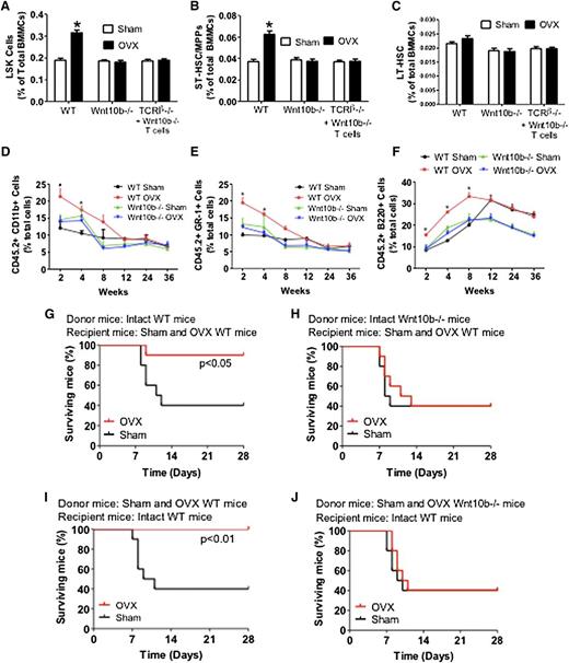 Figure 6. Analysis of the effects (mean + SEM) of ovx in WT and Wnt10b−/− mice. (A) Effects of ovx on the relative frequency of BM LSK cells. (B-C) Effect of ovx on the relative frequency of ST-HSPCs/MPP and LT-HSPCs. (D-F) Effect of ovx on peripheral blood cell expansion after primary competitive repopulation. The percentage of CD11b+, GR-1+, and B220+ cells in the peripheral blood of lethally irradiated WT recipient mice are shown. CD45.2+ WT mice and Wnt10b−/− mice were killed 2 weeks after ovx or sham operation. Their BM was then mixed with BM from intact CD45.1+ WT mice at a ratio of 1:2 and injected into lethally irradiated CD45.1+ host mice. (G-J) Survival analysis of WT mice transplanted with limiting number of BM cells derived from WT and Wnt10b−/− mice. (G-H) Donor mice were intact WT or Wnt10b−/− mice. Recipients were WT mice subjected to sham operation or ovx 2 weeks before transplantation. (I-J) Donor mice were WT mice subjected to sham operation or ovx 2 weeks before transplantation. Recipient mice were intact WT mice. n = 10 in each group. *P < .05 compared with the corresponding sham-operated group.