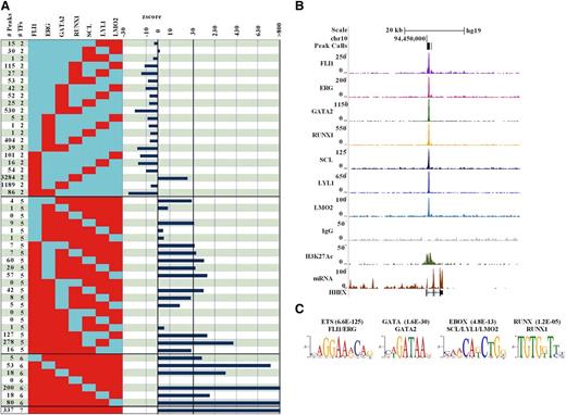 Figure 2. Analysis of combinatorial binding identifies the heptad as the prevalent pattern in human CD34+ HSPCs. (A) The number of peaks for combinations of 2, 5, 6, and all 7 TFs is shown on the left of the figure (red = bound; blue = unbound). A complete set of all 119 combinations involving binding of 2 or more factors is shown in supplemental Table 2. Z scores on the right indicate significance of deviation between observed and expected events for the corresponding patterns. (B) Raw ChIP-seq reads for each transcription factor, control IgG, and H3K27ac are displayed as density plots in the University of California Santa Cruz (UCSC) genome browser above tracks for gene structure and expression in hCD34. The black vertical bar (in the Peak Calls row) above the density plots corresponds to peak coordinates at HHEX +1, a previously verified hematopoietic enhancer that was also bound by the heptad in mouse HPC7 cells. (C) De novo motif discovery performed on the set of regions bound by all 7 TFs identifies ETS, GATA, E-box, and RUNX motifs, corresponding to the 4 motifs that would be expected for these factors as those most significantly enriched.