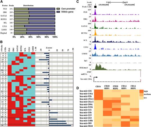 Figure 6. Expression of noncoding RNAs in human CD34+ HSPCs is associated with heptad binding. (A) Binding peaks for each TF were evaluated for their proximity to miRNA as outlined in the supplemental Data. The number of binding peaks associated with a miRNA is shown for each TF, and proportions of those with their own promoter (green) and those located within a coding gene (purple) are shown (also see supplemental Figure 7). (B) The numbers of peaks associated with miRNA for combinations involving binding of 2 or more TFs are shown on the left of the figure. Only combinations with at least 2 targets are shown, whereas all combinations are reported in supplemental Table 1. Z scores on the right indicate significant deviation between observed and expected events. The likelihood of miRNA associated regions with 6 or 7 overlapping TFs were overrepresented, whereas regions with 2 and 3 overlapping TFs were underrepresented. (C) Density plots of ChIP-seq reads at the promoter of pri-miR-146a in hCD34+ HSPCs displayed in the UCSC genome browser with corresponding miRNA expression. (D) A heat map showing differential expression across cell types for heptad target miRNAs that are expressed in at least 1 of the 3 cell types.