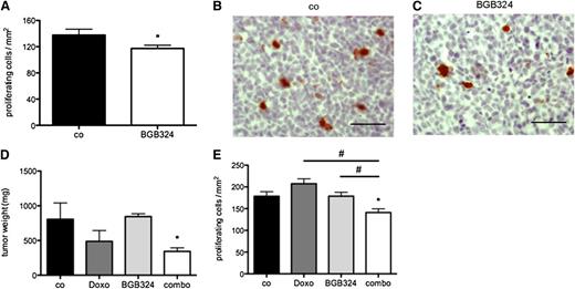 Figure 6. Axl blockade chemosensitizes AML cells in vivo. (A) Morphometric analysis of phospho-Histone H3+ cells indicated inhibition of proliferation of MV4-11 AML cells in vivo by BGB324 (25 mg/kg) (n = 4/5; *P < .05). (B-C) Representative immunohistochemistry pictures of phospho-Histone H3 stainings on sections from MV4-11 control- and BGB324-treated tumors (bar represents 50 µm). (D) BGB324 (12.5 mg/kg) exerted a chemosensitizing effect on efficacy of Doxo (3 mg/kg) in MV4-11 xenografts in vivo (n = 4/4/3/6; *P < .05). (E) Analysis of immunohistochemistry for phospho-Histone H3 confirmed an additive effect of Doxo and BGB324 on proliferation of MV4-11 cells in vivo (n = 4/4/3/4; *P < .05; #P < .05).