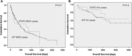 Figure 3. Differences in survival outcomes in acquired BMF patients according to the presence of a STAT3 mutated clone. (A-B) No difference is seen in survival when comparing AA and MDS patients with or without the STAT3-mutated CTL clone.