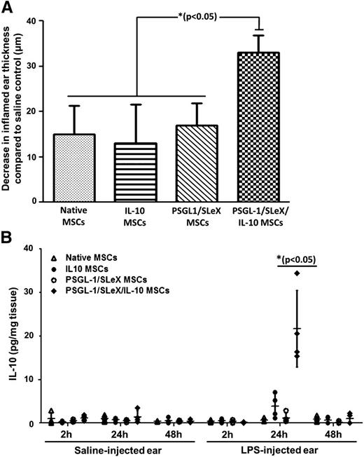 Figure 6. PSGL-1/SLeX/IL-10 MSCs display improved antiinflammatory impact in vivo via targeted delivery of IL-10 to the inflamed site. (A) Triple transfected PSGL-1/SLeX/IL-10 MSCs exhibit an antiinflammatory effect in vivo demonstrated via ear thickness measurements. Data are presented as decrease in inflamed ear thickness (after treatment with the different MSC groups) in comparison with control group (mice receiving saline treatment). *P < .05, 1-way ANOVA using Tukey’s HSD; error bars represent SEM) (n = 5 per group). (B) Only triple-transfected MSCs deliver a significant amount of IL-10 to the inflamed ear. At the specified time points following MSC transplantation, mice were sacrificed; ears were harvested and analyzed for presence of human IL-10 using an ELISA assay. Each point in the graph represents data from a single mouse. *P < .05 vs all other groups at the same time point, 1-way ANOVA using Tukey’s HSD; error bars represent SD (n = 4 per group).