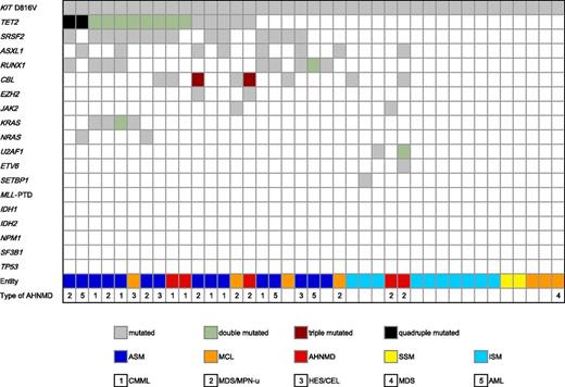 Figure 1. Alignment of gene mutations and phenotype. Each column represents one of the 39 analyzed samples. The clinical diagnoses are shown in different colors, and the numbers specify the type of AHNMD. Results of analyses of 18 investigated genes are depicted in white (wild-type), gray (single-mutated), green (double mutated), red (triple mutated), and black (quadruple mutated).