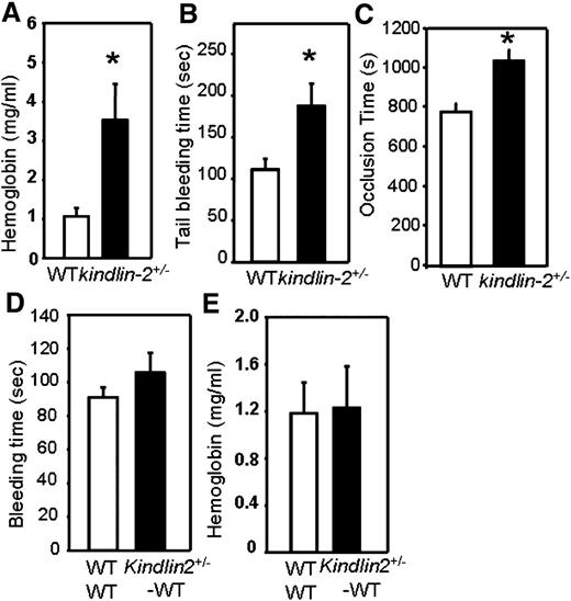 Figure 1. Prolonged bleeding and blood vessel occlusion time in kindlin-2+/− mice. (A) Total blood loss upon tail tip clip resection as measured by released hemoglobin using Drabkin reagent (n = 10). (B) Tail bleeding time as estimated after tail tip resection (n = 10 mice per group). (C) The time needed to form an occlusive thrombus in the carotid artery was determined in 10 control and 12 kindlin-2+/− mice after topical injury with FeCl3. (D) Tail bleeding time and (E) total blood loss in WT recipients 6 weeks after bone marrow transplantation from WT or kindlin-2+/− donors.