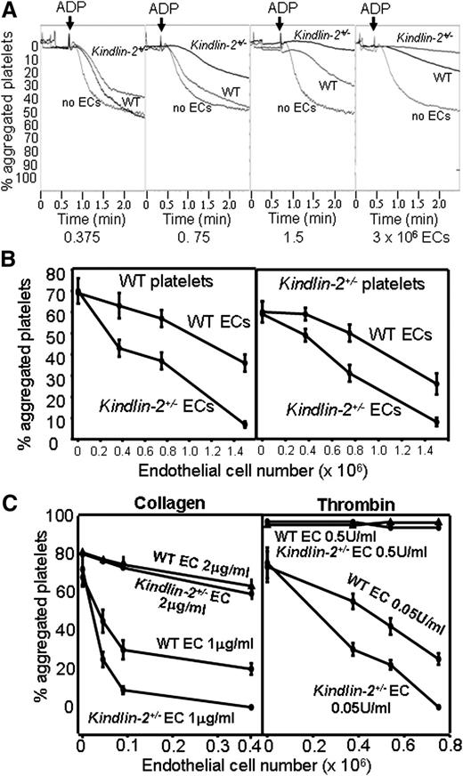 Figure 2. Kindlin-2+/− ECs show enhanced inhibition of platelet aggregation. (A) Representative tracings of platelet aggregation induced by ADP (10 μM) in the absence or presence of increasing numbers of WT or kindlin-2+/− ECs. Under the same conditions, thrombin (0.5 U/mL) induced 100% aggregation. (B) ADP-induced aggregation of WT and kindlin-2+/− platelets in the presence of WT or kindlin-2+/− ECs. The percentage of aggregated platelets was determined 4 minutes after addition of ADP. Data are mean ± SEM (n = 9) and are representative of 3 independent experiments. (C) Effect of WT and kindlin-2+/− ECs on aggregation of WT platelets induced by collagen (1 and 2 μg/mL) or thrombin (0.05 and 0.5 U/mL). Data show the percentage of aggregated platelets 5 minutes after agonist addition and are means ± SEM (n = 3) from 2 independent experiments.