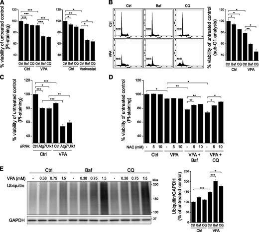 Figure 4. Cell death induced by combined treatment with VPA/vorinostat and autophagy inhibitors depends on ROS and correlates with accumulation of ubiquitinated proteins. (A) Kasumi-1 cells were treated with VPA or vorinostat in the absence or presence of Baf or CQ for 16 hours. Cell viability was determined by fluorescence-activated cell sorter (FACS) analysis of PI-stained cells. (B) Kasumi-1 cells were treated with VPA for 16 hours in the absence or presence of Baf or CQ before fixation and PI staining for sub-G1 analysis. The figure shows representative histograms and presentation of cell viability as the fraction of non–sub-G1 cells. (C) Kasumi-1 cells transfected with siRNA oligoes against Atg7 and Ulk1 were treated with VPA for the last 16 hours. Cell viability was determined by FACS analysis of PI-stained cells. (D) Kasumi-1 cells were pretreated with NAC (5 or 10 mM) for 1 hour before addition of Baf or CQ. Then after 30 minutes, VPA was added, and the incubation was continued for 16 hours. Cell viability was determined by FACS analysis of PI-stained cells. (E) Cells were treated with the indicated concentrations of VPA for 16 hours in the absence or presence of Baf or CQ, and total cell lysates were prepared for immunoblotting. The blots were probed with antibodies against ubiquitin and GAPDH. Blots from 1 representative experiment are shown. (Right) Relative band intensities of ubiquitin at 1.5 mM VPA were normalized to GAPDH. All bars show mean values ± SEM quantified from ≥3 independent experiments. *P < .05; **P < .01; ***P < .001.