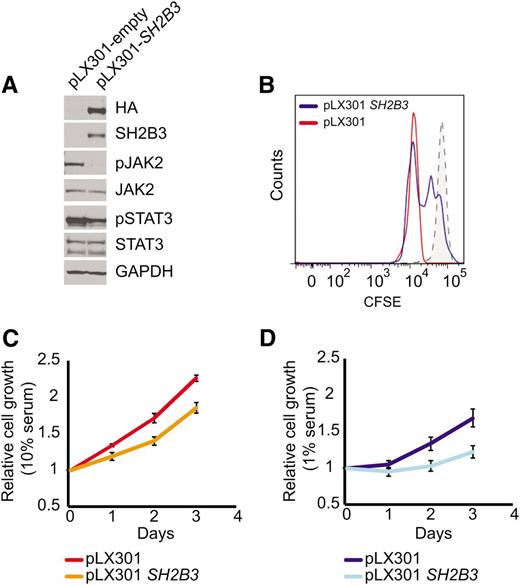 Figure 3. SH2B3 expression rescues deregulated cell signaling growth and proliferation in patient-derived SH2B3 mutant lymphoblastoid cells. (A) Western blot of patient-derived SH2B3-deficient lymphoblastoid cells reconstituted with empty vector (pLX301) or SH2B3 expressing lentiviruses (pLX301 SH2B3). (B) CFSE dilution assay analysis of cell cycle kinetics in SH2B3 mutant cells infected with empty vector or SH2B3 expressing lentiviruses (C,D). Differential cell growth of SH2B3 mutant cells infected with empty vector or SH2B3 expressing lentiviruses in standard (10% FBS) (C) and low-serum (1% FBS) (D) culture conditions. Experiments shown were performed twice, and quantitative assays were performed in triplicate.