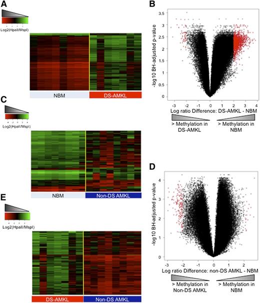 Figure 1. DS-AMKL and non–DS-AMKL are epigenetically distinct. (A) Heatmap representation of differentially methylated regions between normal CD34+ cells (NBM) and DS-AMKL blasts. Each row represents a genomic region, and each column represents a sample. (B) Volcano plot representing the comparison of DS-AMKL blasts to normal CD34+ cells. X-axis represents the difference in DNA methylation between the 2 groups, and the y-axis represents the statistical significance of the differences. Red dots denote DMRs with absolute log ratio difference >2 and FDR <5%. (C) Heatmap representation of differentially methylated regions between normal CD34+ cells (NBM) and non–DS-AMKL blasts. Each row represents a genomic region, and each column represents a sample. (D) Volcano plot representing the comparison of non–DS-AMKL blasts to normal CD34+ cells. X-axis represents the difference in DNA methylation between the 2 groups, and the y-axis represents the statistical significance of the differences. Red dots denote DMRs with absolute log ratio difference >2 and FDR <5%. (E) Heatmap representation of differentially methylated regions between non–DS-AMKL and DS-AMKL blasts. Each row represents a genomic region, and each column represents a patient sample.