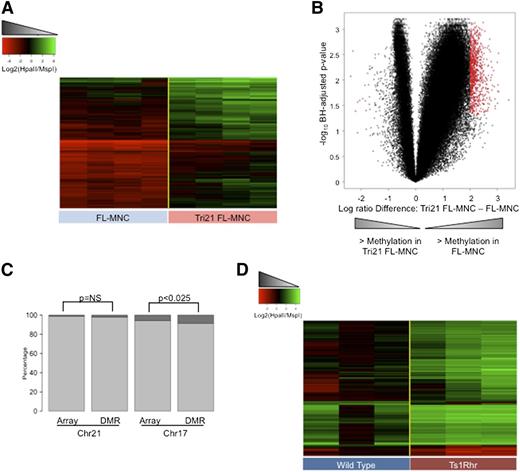 Figure 2. Trisomy 21–associated hypomethylation is detected early on in fetal MNC. (A) Heatmap representation of differentially methylated regions between Tri21 FL-MNC and control FL-MNC. Each row represents a genomic region, and each column represents a patient sample. (B) Volcano plot representing the comparison of Tri21 to control FL-MNC. The x-axis represents the difference in DNA methylation between the 2 groups, and the y-axis represents the statistical significance of the differences. Red dots denote DMRs with absolute log ratio difference >2 and FDR <5%. (C) Stacking barplots representing the relative proportion of chromosomes 21 (left) and 17 (right) in the whole array and the Tri21 FL-MNC DMRs. P values for Fisher test followed by correction for multiple comparisons using the Bonferroni method. (D) Heatmap representation of regions with at least 25% difference in methylation between Ts1Rhr and control CD41+ cells. Each row represents a genomic region, and each column represents a sample.