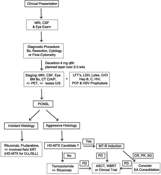 Figure 4. How I treat PCNSL. In the diagnostic work-up, an MRI of the spine (± gadolinium) may be useful if warranted by neurologic symptoms or if CSF analysis is contraindicated. Ultrasonography of the testes is indicated for older male patients with CNS involvement of lymphoma in which testes coinvolvement is suspected on clinical and/or radiographic grounds. The value of a positron emission tomography scan in this setting is not established. Although the schedule of Decadron taper should be individualized for each patient, we recommend a planned taper to be completed within 2 to 3 weeks of diagnosis, between the first and second courses of HD-MTX. Therapeutic options for indolent lymphomas that involve the CNS or dura include rituximab, fludarabine, involved-field irradiation, and HD-MTX for CNS involvement of chronic lymphocytic leukemia/small lymphocytic leukemia. For newly diagnosed patients who are not candidates for HD-MTX, in most cases we recommend a trial of temozolomide and rituximab and/or strategies that use high-dose chemotherapy, before consideration of using whole-brain irradiation. ASCT, autologous stem cell transplant; CR, complete response; EA, etoposide-cytarabine; HSV, herpes simplex virus; MT-R, combination HD-MTX, temozolomide, and rituximab (rituximab is omitted for T-cell lymphomas); PCP, Pneumocytis jiroveci pneumonia; PD, progressive disease; PR, partial response; SD, stable disease; WBRT, whole-brain radiotherapy.