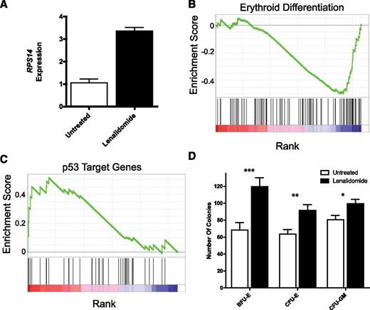 Figure 2. Lenalidomide treatment normalizes bone marrow mRNA expression and colony-forming potential. (A) Bone marrow expression of RPS14 as measured by quantitative real-time PCR is markedly increased with lenalidomide treatment and the concomitant reductions in 5q mosaic monosomy. Gene set enrichment analysis comparing pre- and post-lenalidomide-treatment bone marrow mRNA expression demonstrates significant increases in (B) erythroid differentiation program (False Discovery Rate < 0.05) and (C) a decrease in expression of p53 target genes, a putative mediator of ribosomal protein haploinsufficiency. (D) The in vitro colony-forming potential for BFU-E, CFU-E, and to a lesser extent, CFU-GM was also significantly improved with lenalidomide therapy. *P value of Student t test < .05; **P value of student t test < .005; ***P value of student t test < .001; error bars denote SEM.
