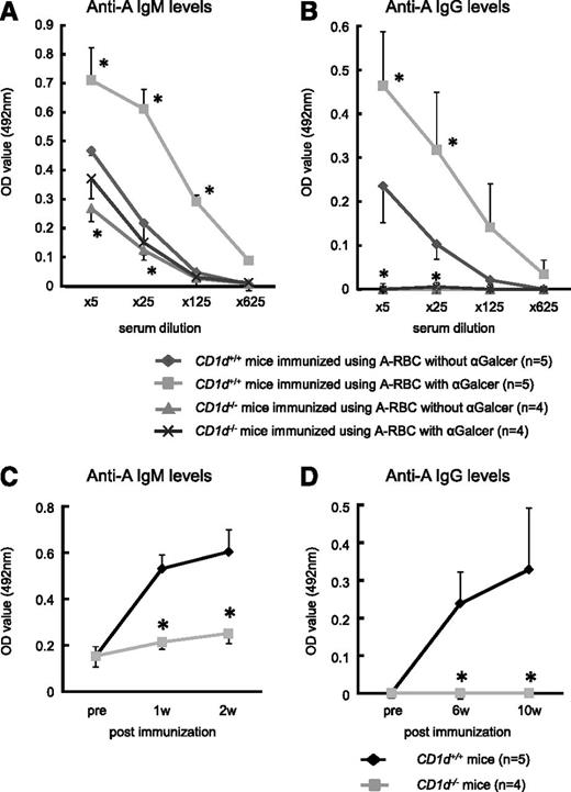 Figure 2. Effect of αGalCer administration on anti-blood group A responses in CD1d−/− mice. Balb/c CD1d−/− mice and Balb/c WT (CD1d+/+) mice were immunized using blood group A-RBCs together with intraperitoneal injection of either αGalCer (4 μg/mouse) or PBS (control) 2 times per week. (A-B) The serum anti-A–specific IgM and IgG levels were determined using ELISA at 2 and 10 weeks after the last immunization, respectively. αGalCer significantly increased the blood group A-specific Ab levels in CD1d+/+ mice, but the Ab levels did not increase in CD1d−/− mice. The average values ± SEM for the individual groups are shown. *P < .05 compared with the data from CD1d+/+ mice without αGalCer. (C-D) The kinetics of the serum IgM and IgG titers against blood group A determinants in Balb/c CD1d+/+ mice and Balb/c CD1d−/− mice (25× diluted serum was used). Anti-A Ab production was elicited by intraperitoneal immunization of mice with A-RBC 2 times per week. The average values ± SEM for the individual groups are shown. Balb/c CD1d−/− mice, n = 4; WT Balb/c mice, n = 5. *P < .05 compared with the respective CD1d+/+ mice.