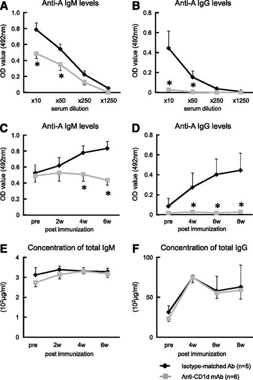 Figure 4. Effect of administration of anti-mouse CD1d mAb on anti-blood group A titers in mice. Balb/c WT mice received intraperitoneal injection of anti-mouse CD1d mAb (n = 6). Mice that received injections of isotype-matched Ab served as the controls (n = 5). The mice were immunized with human blood group A-RBCs (5 × 108/mouse) on days 1 and 8 after mAb administration. After immunization, blood samples were obtained and the total IgM/IgG and anti-A IgM/IgG concentrations were measured using ELISA. (A-B) Treatment with anti-CD1d mAb significantly inhibited Ab production against blood group A epitopes in the mice. Anti-A IgM levels were detected 6 weeks after mAb administration, and anti-A IgG levels were detected at 8 weeks. (C-D) The kinetics of anti-A Abs in Balb/c WT mice that were injected with either anti-mouse CD1d mAb or isotype-matched Ab are shown (10× diluted serum was used). (E-F) The kinetics of the total serum immunoglobulin (IgM and IgG) levels of the Balb/c WT mice treated with anti-CD1d mAb are presented. The average values ± SEM for the individual groups are shown. *P < .05 compared with the data from WT mice treated with isotype-matched Ab.