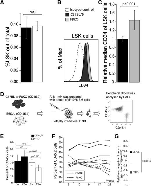Figure 1. LSK cell levels in the BM of FVIIIKO vs wild-type (WT) mice. (A) Percentage of LSK cells in FVIIIKO (white) compared with WT (C57BL/6) mice (black) (0.976% ± 0.007% vs 0.946% ± 0.019% (n = 10, P = .671). (B) Representative FACS histograms comparing isotype control staining to CD34 staining on C57BL and FVIIIKO LSK are shown. (C) In 4 independent experiments, a total of 8 C57BL/6 and 7 FVIIIKO samples were stained for CD34 and the data analyzed as follows: first, the average CD34 median of the C57BL samples in each experiment was calculated. This value was then used as a reference for comparison against individual median CD34 values in the same experiment (ie, individual median of each mouse was divided by the average median staining of the C57BL group in the same experiment). FVIIIKO mice (gray) exhibited a significantly higher value (1.43 ± 0.226, N = 7) compared with the median value of C57BL (black) (1.0 ± 0.067, N = 8), P < .001. Error bars are means ± SD. (D-G) FVIII KO HSCs exhibit similar short-term but reduced LTR capacity. (d) Schematic representation of the competitive repopulation assay. Donor-type chimerism was defined by FACS in each recipient, and the average level was calculated based on the values found in the 6 recipients of every individual donor. In control experiments, the BM mixture was composed of similar numbers of B6SJL (CD45.1) and C57BL (CD45.2) WT BM cells. (E) Chimerism levels at 6 and 22 weeks after transplantation of C57BL/6 BM (black) and FVIIIKO BM (white). (F) Chimerism levels at different time points after transplantation of FVIIIKO BM (dashed line) and C57BL BM (black). Each line is based on the average values found in 6 recipients receiving BM from the same donor. Total number of mice was 30. (G) Average linear trend line slopes of donor-type chimerism over time in mice receiving FVIIIKO BM (square) vs mice receiving C57BL/6 BM (diamond). Error bars are means ± SD (n = 30 mice).