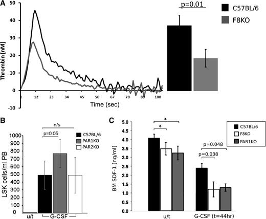 Figure 3. Thrombin\PAR1 axis is associated with enhanced G-CSF stimulation in FVIII KO mice. (A) Thrombin blood plasma levels (nM) in FVIIIKO (gray) and C57BL (black) mice at different time points as measured by the TGA. Summary of the results is depicted on the right (n = 4). (B) The number of LSK cells in PB of G-CSF–treated C57BL/6 (black), PAR1KO (gray), and PAR2KO (white) mice. (C) CXCL12 protein BM plasma levels detected by ELISA with and without G-CSF treatment in C57BL (black), FVIIIKO (white), and PAR1KO (gray) mice. Data are represented in (ng/mL); n = 12 per group.