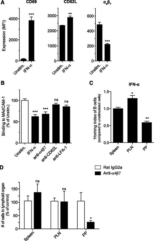 Figure 5. Stimulation with type I IFN results in reduced B-cell homing to Peyer’s patches. Purified splenic B cells were cultured in the presence of recombinant IFN-α for 24 hours. (A) Surface expression of CD69, CD62L, and α4β7 was determined by flow cytometry. (B) Splenic B cells were either stimulated with IFN-α or treated with adhesion molecule–blocking antibodies. Binding of the fluorescently labeled cells to plate-bound MAdCAM-1 was determined by spectrophotometer. All data give the mean value of triplicate samples ± SEM. (C) IFN-α–stimulated splenic B cells were fluorescently labeled and adoptively transferred into naïve recipient mice. Four hours later, recipients were euthanized, and lymphoid organs assessed for the presence of transferred B cells. The HI represents the ratio of IFN-α–activated B cells to unstimulated B cells. Data show the mean value of individual recipient mice (n = 3) ± SEM. The asterisk indicates comparison with the HI for the spleen. (D) Mice were injected intraperitoneally with an anti-α4β7 or an isotype control antibody. Twenty-four hours later, cell numbers in secondary lymphoid organs were determined by flow cytometry. Data show the mean value of individual mice (n = 7 for Peyer’s patches and spleen, n = 4 for PLNs) ± SEM pooled from 2 independent experiments. All data are representative of at least 2 independent experiments. LFA-, lymphocyte function-associated antigen 1; MFI, mean fluorescence intensity; PP, Peyer's patches; Unstim, unstimulated.