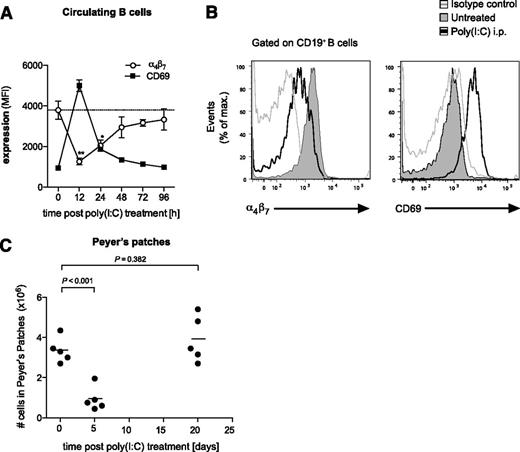 Figure 7. Disruption of the Peyer’s patches is a self-limiting process. (A) Time course of α4β7 and CD69 expression on circulating B cells in the peripheral blood after a single injection of poly(I:C). Data give the mean value of n = 3 individual mice ± SEM. The dashed line represents the baseline level of α4β7 expression before treatment. (B) Representative histograms are gated on CD19+ blood-borne B cells and give α4β7 and CD69 expression 12 hours after poly(I:C) treatment (thin gray line, isotype control). (C) Mice were treated with poly(I:C) as in Figure 1. Time course of total cell numbers in Peyer’s patches after the last injection. Each data point represents 1 individual mouse, and the mean of n = 5 mice per group is depicted as a bar. All data are representative of at least 2 independent experiments.