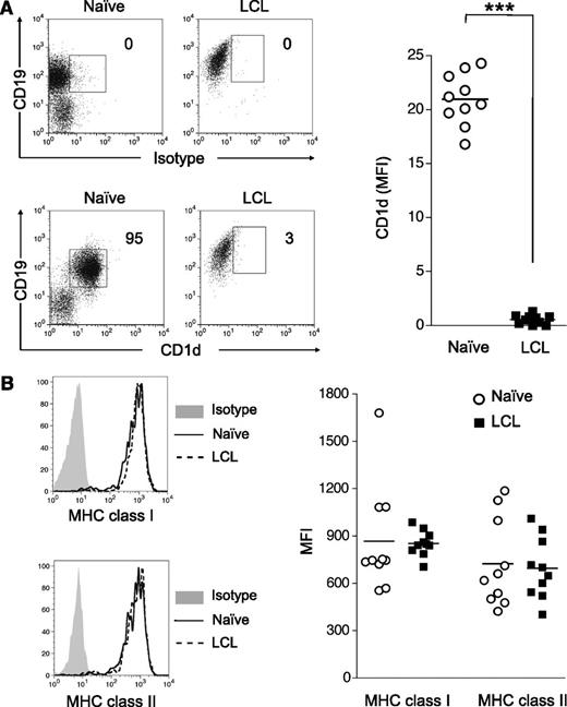 Figure 3. EBV transformation of B cells downregulates CD1d expression. Tonsillar mononuclear cells were incubated with or without EBV B95-8 supernatant for 8 days and analyzed for CD1d and MHC class 1 and class 2 expression. (A) Representative CD1d and isotype control staining of naive B cells and EBV-transformed B cells (LCL). MFI values indicate the level of CD1d expression above the isotype control (n = 10). ***P < .001. (B) MHC class 1 (HLA-A, HLA-B, and HLA-C) and MHC class 2 (HLA-DR, HLA-DP, and HLA-DQ) expression on naive B cells (dotted lines) and LCL (solid lines). Isotype control staining is shown as shaded regions. MFI values of MHC class 1 and MHC class 2 show net staining above the isotype controls for naive B cells (○) and LCL (■) (n = 10). ***P < .001.