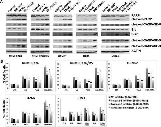 Figure 2. Coadministration of pan-AKIs and TRAIL activates the caspase cascade in MM. (A) HMCLs were treated with pan-AKIs for 3 hours and then incubated with TRAIL (2.4 ng/mL in RPMI 8226 and OPM-2, 9.6 ng/mL in RPMI 8226/R5 and U266, 300 ng/mL in JJN3) for 24 hours, after which cells were lysed and subjected to western blot analysis to monitor the expression of PARP, cleaved-PARP, cleaved caspase-8, Bid, truncated Bid (t-Bid), cleaved caspase-9, and cleaved caspase-3; blots were subsequently reprobed for actin expression to ensure equivalent loading and transfer of proteins. (B) HMCLs were cultured with pan-AKIs and TRAIL at the doses indicated in A in the presence or absence of 30 μM caspase inhibitors for 24 hours, after which the percentage of apoptotic cells was determined by the annexin-V method. Data represent means ± SD of 3 independent experiments (*P < .05; **P < .005 vs pan-AKIs/TRAIL Z-FA-FMK; Dunnet test).
