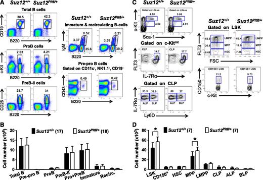 Figure 2. Analysis of bone marrow progenitors and B-lymphocyte subsets in 4-week-old Suz12Plt8/+ mice. (A) Gating strategy and (B) number of viable cells for various B-lymphoid populations in the bone marrow of 4-week-old Suz12+/+ and Suz12Plt8/+ mice. (C) Gating strategy and (D) number of bone marrow progenitors in 4-week-old Suz12+/+ and Suz12Plt8/+ mice. Data represent mean ± standard deviation. A 2-tailed Student t test was used for comparison between the genotypes (*P < .05). Cell surface markers used to define various subsets are as follows: total B, B220+CD19+; pre-pro B, CD11c−NK1.1−CD19−B220+CD43+; pre-B-II, B220+CD19+cKit−CD25+IgM−; pro + pre-B, B220+CD19+cKit−IgM−; immature B, B220lowIgM+; recirculating B, B220highIgM+; LSK, lineage−Sca1+c-Kit+; CD150+, LSK CD150+; HSC, LSK Flt3−; MPP, LSK Flt3int; LMPP, LSK Flt3high; CLP, lineage− Sca-1+c-KitintIL-7Rα+Flt3+; ALP, CLP Ly6D−; BLP, CLP Ly6D+.