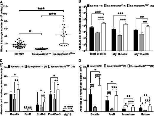 Figure 5. Pre-neoplastic Eμ-myc/Suz12Plt8/+ mice have an expanded B-lymphoid compartment. (A) Automated enumeration of peripheral blood leukocytes from preneoplastic Eμ-myc (n = 17), Eμ-myc/Bmi1+/− (n = 8), and Eμ-myc/Suz12Plt8/+ (n = 12) mice. Immunophenotypic characterization of B-lymphocyte subsets from the (B) peripheral blood, (C) bone marrow, and (D) spleen of preneoplastic Eμ-myc, Eμ-myc/Bmi1+/−, and Eμ-myc/Suz12Plt8/+ mice. Data represent mean ± standard deviation. One-way analysis of variance followed by Tukey’s post hoc test was used for pairwise comparisons (*P < .05; **P < .01; ***P < .001). Cell surface markers used to define B-cell subsets are as follows: BM pro-B, B220+CD19+c-Kit+IgM−IgD−; BM pre-B-II, B220+CD19+c-Kit−CD25+IgM−IgD−; BM pro + pre-B, blood sIg− B, or spleen pre-B, B220+CD19+cKit−IgM−IgD−; spleen immature B, B220+CD19+c-Kit−IgM+IgD−, BM sIg+; spleen mature B, B220+CD19+c-Kit−IgM+IgD+.