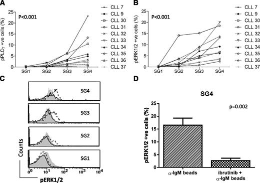 Figure 4. Phosphorylation of PLCɣ and ERK1/2 induced by bead-immobilized anti-IgM in CLL SGs. Phosphorylation of PLCγ2 (pPLCγ2, A) or of ERK1/2 (pERK1/2, B) induced after exposure to bead-bound anti-IgM was measured in SGs 1 to 4 in the FACS Calibur. Percent of phosphorylated cells was calculated as the differential between the percent of cells phosphorylated at 37°C (activated) and that at ice temperature (background). (C) A representative case (CLL9) showing inhibition of pERK1/2 by ibrutinib in each individual SG. Filled histogram represents ERK1/2 phosphorylation in CLL cells incubated on ice, dashed line ERK1/2 phosphorylation at 37°C in the absence of ibrutinb, and continuous line ERK1/2 phosphorylation at 37°C in the presence of ibrutinib. (D) Effect of ibrutinib on ERK1/2 phosphorylation in SG4. Mean and SEM of the 6 cases analyzed are represented (CLL3, 7, 8, 9, 11, and 12).