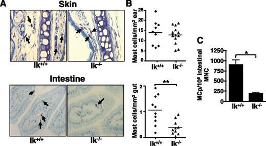 Figure 1. Ik−/− mice exhibit reduced intestinal mast cell numbers. (A) Mast cells (arrows) were identified in Ik−/− mice and their wild-type littermates by toluidine blue staining of sections from ear skin and intestine (original magnification ×40; Zeiss Primo Star with ImagingSource digital camera attachment). (B) Quantification of mast cell numbers in skin and intestine tissue samples. Each data point represents the average number of mast cells observed in an individual mouse counting 4 sections and 5 fields/section. (C) Numbers of MCps in Ik+/+ and Ik−/− mice were assessed by limiting dilution analysis of intestinal mononuclear cells (MNC) in medium containing IL-3 and SCF. Data represents mean MCps from 4 individual mice/group ± standard error of the mean and are representative of 2 independent experiments. *P < .05; ** P < .01.