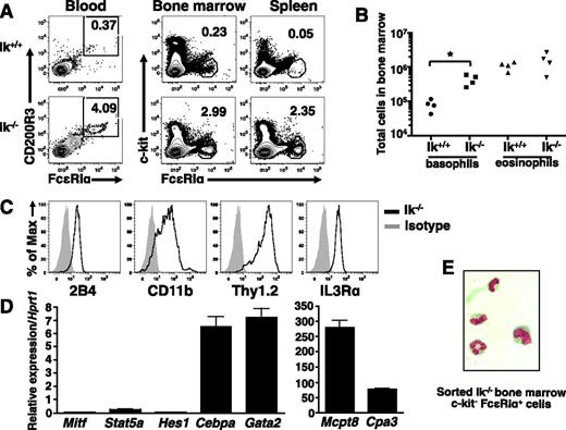 Figure 4. Ik−/− mice exhibit increased basophils in the absence of infection. (A) Proportion of c-kit− FcεRI+ cells in indicated tissues of naive Ik+/+ and Ik−/− mice assessed by flow cytometry. Blood basophils were evaluated for the expression of FcεRI and CD200R3 after gating on c-kit− cells. Numbers denote percentage of basophils. (B) Quantification of basophil (c-kit− FcεRI+ CD200R3+) and eosinophil (c-kit− Ly6G− Siglec-F+) numbers in bone marrow of wild-type and Ik−/− mice by TruCount bead assay. P < .05 (C) Cell surface expression of basophil markers in c-kit– FcεRI+ cells from Ik−/− bone marrow determined by flow cytometry. (D) Fluorescence-activated cell sorted Ik−/− c-kit– FcεRI+ bone marrow cells were subject to quantitative RT-PCR analysis to assess expression of lineage-specific transcription factors and proteases. Data represents mean of triplicates ± standard error of the mean. (E) Fluorescence-activated cell sorted Ik−/− c-kit– FcεRI+ cells bone marrow cells were Wright-Giemsa stained (original magnification, ×100). Results shown in panels A-B are representative of 4 (blood) and 6 (bone marrow, spleen, and liver) of mice of each genotype. (C-D) Representative of 4 mice. (E) Representative of 3 mice.