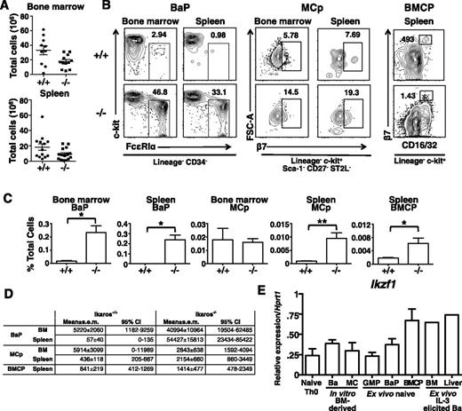 Figure 6. Direct progenitors of basophils express Ik and are increased in Ik−/−mice. Bone marrow and spleen leukocytes were isolated from Ik+/+ (+/+) and Ik−/− (−/−) mice. (A) Total leukocytes in bone marrow (bilateral femoral/tibial) and spleen of +/+ and −/− animals. Mean ± standard error of the mean (SEM) (n = 10 for +/+, n = 11 for −/−). (B) Representative plots of Lin− CD34+ FceRIa+ c-kit− BaPs and Lin− Sca-1− c-kit+ CD27− ST2L+ β7 integrin+ mast cell progenitors in bone marrow and the spleen and Lin− c-kit+ CD16/32+ β7 integrinhi BMCP in the spleen of Ik+/+ and Ik−/− mice. Numbers represent percentage of parent gate indicated below plots. (C) Quantification of frequencies of indicated cell types as a percentage of total SYTOX− (live) cells in flow sample. Bone marrow and spleen BaP (n = 5 for +/+ and −/−); bone marrow and spleen MCp (n = 5 for +/+ and n = 6 for −/−); BMCP (n = 10 for +/+ and 11 for −/−). (D) Estimated mean absolute cell numbers per organ and 95% confidence interval of mean for indicated cell types, derived from means and SEM of frequency and total cell data in panels A,C. Independence was assumed and SEM were combined by the formula: . (E) Expression of Ikzf1 (all Ik isoforms) in indicated cell populations assessed by quantitative RT-PCR. CD4+ T cells were isolated from naive mice. In vitro bone marrow (BM)-derived basophil cells are isolated from 9-day cultures and mast cells, from 6-week cultures with IL-3 alone. GMPs, BaPs were sorted from bone marrow while purified BMCPs were isolated from spleen. Ex vivo–elicited basophils were derived from the bone marrow and livers of mice after treatment with IL-3 complexes (n = 1 for ex vivo IL-3–elicited complex basophils; n = 3 for other samples). *P < .05; **P < .01.