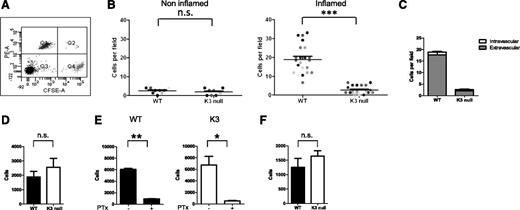Figure 2. Kindlin-3–deficient effectors fail to accumulate in inflamed skin but efficiently accumulate in various lymph nodes draining the inflamed skin tissues. (A) FACS of a 1:1 mixture of CFSE-labeled wt T effectors (Q4) mixed with CMTMR-labeled Kindlin-3–deficient T effectors (Q1) prior to intracardiac injection into recipient wt mice. (B) The number of wt and Kindlin-3–deficient T cells (injected at a 1:1 ratio) accumulated in noninflamed or inflamed skin flank 4 hours after intracardiac injection, determined by fluorescence microscopy of fixed skin sections. Skin inflammation was induced by an intradermal injection of CFA. Each dot represents a separate field (0.18 mm2 in size) within inflamed or noninflamed flank areas. Results are from multiple fields of 2 mice. ***P < .0001. (C) The partition of CFSE wt or CMTMR Kindlin-3–deficient T cells inside and outside of the skin vessels determined by platelet endothelial CAM-1 immunostaining of skin vessels. Mean values ± SEM of data from the indicated fields shown in B (n = 23). (D) Relative accumulation of wt or Kindlin-3–deficient T cells in inguinal lymph nodes 4 hours after intracardiac injection determined by FACS of harvested suspensions of lymph nodes collected from 2 mice; n.s., not significant. One experiment is representative of 3 experiments. (E) Relative accumulation of sham or PTx pretreated wt or Kindlin-3–deficient T cells determined as in panel D. *P < .01; **P < .002. (F) Relative accumulation of wt or Kindlin-3–deficient T cells in popliteal lymph nodes 4 hours after intracardiac injection. n = 3; n.s., not significant. The values in panels D to F are the mean ± SEM.