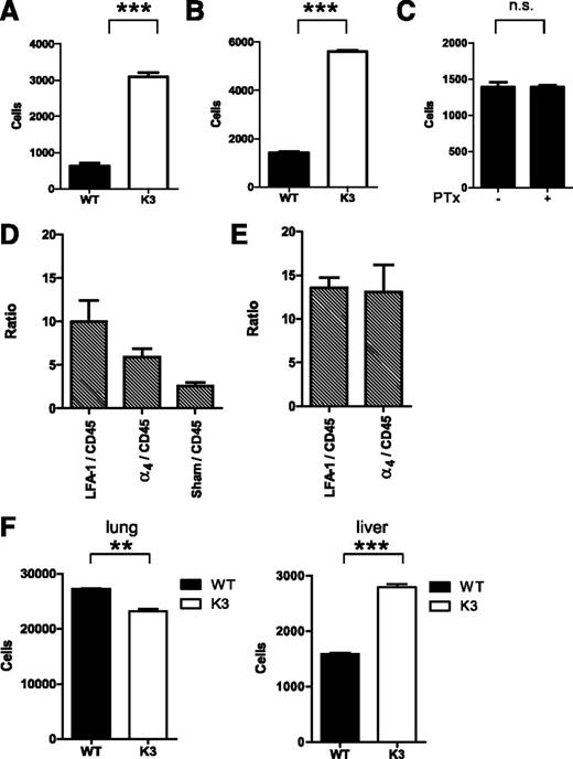 Figure 3. Kindlin-3–deficient effector T cells are retained in the circulation at higher numbers than wt T cells. (A) Relative abundance of coinjected CFSE-labeled wt and CMTMR-labeled Kindlin-3–deficient T cells in blood 40 minutes after intracardiac transfer. The indicated numbers of total T cells were determined by FACS of blood samples, as explained in “Materials and methods.” Mean values ± range of 2 mice. A representative of 4 experiments. ***P < .0002. (B) Accumulation of dye-labeled wt or Kindlin-3–deficient T cells in spleens recovered 40 minutes after intracardiac injection determined by FACS analysis. Mean values ± range of 2 mice. A representative of 4 experiments. Average values ± range. ***P < .0004. (C) The numbers of sham and PTx-pretreated T cells (labeled with either CFSE or CMTMR) recovered in blood 40 minutes after intracardiac injection determined as in panel A. n = 2. n.s., not significant. (D) Effect of pretreatment of wt effector T cells with either LFA-1 or α4-blocking mAb or with a nonblocking mAb (anti-CD45) on the concentration of T cells circulating in blood. Dye-labeled wt T cells were incubated with each of the mAbs, washed, and coinjected at a 1:1 ratio. The blood concentration of each mAb-treated population was determined as in panel A, and the ratios between each indicated groups are depicted. Results are given as mean ± SEM of 5 to 9 experiments. (E) Effects of pretreatment of dye-labeled Kindlin-3–deficient T cells with either LFA-1 or α4-blocking mAbs on lymphocyte numbers in blood. Results are mean ± SEM of 3 experiments. (F) wt (CFSE-labeled) or Kindlin-3–deficient (CMTMR-labeled) T cells were coinjected at a 1:1 ratio, and their relative accumulation in the lung (left) and liver (right) was enumerated by FACS analysis 40 minutes later n = 3. **P < .002; ***P < .0002.