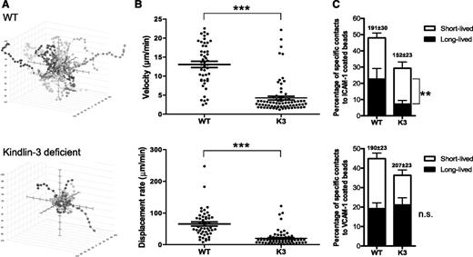 Figure 6. Interstitial motility of Kindlin-3–deficient T cells inside lymph nodes is severely impaired. (A) Interstitial motility of extravasating wt and Kindlin-3–deficient T cells inside inflamed popliteal lymph nodes measured 4 hours after adoptive transfer. Cell trajectories were determined at 36-second intervals, as detailed in “Materials and methods.” Three-dimensional paths tracking T-cell movement are depicted as if emanating from a common starting point. (B) Scatterplots illustrating the mean velocities and displacement rates of the individual T-cell tracks as depicted in panel A (n = 75 for k3-null; n = 48 for wt). Both parameters were significantly (P < .0001) lower for Kindlin-3–deficient T cells (one experiment representative of 3 experiments is shown). (C) LFA-1 adhesiveness to ICAM-1– or VCAM-1–coated beads (each containing 4200 CAM sites/μm2) on wt and Kindlin-3–deficient effector T cells migrating over CXCL9, determined under shear-free conditions. The frequencies of T-cell collisions with productive short-lived (≤180 seconds) and long-lived (≥190 seconds) contacts are depicted for each group and are expressed as a percentage of all lymphocyte bead collision events. No stable contacts to ICAM-1 or VCAM-1 beads could be observed in the absence of cations. Values are for >90 cells in 5 fields of view. One experiment representative of 3 experiments is shown. The mean contact duration is depicted in parentheses. The distribution of all T-cell bead contact durations is depicted in supplemental Figure 6. Further details are provided in “Materials and methods.”