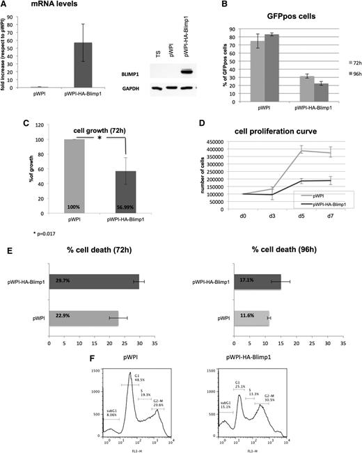 Figure 3. PRDM1 is a tumor suppressor gene in an in vitro model of ALCL. (A) PRDM1/BLIMP1 mRNA and protein level after infection with empty vector (pWPI) or vector for BLIMP1 reexpression (pWPI-HA-BLIMP1). (B) Percentage of GFP-positive cells after infection at 72 hours and 96 hours. (C) Percentage of growing cells after infection at 72 hours. *P = .017. (D) Growth curve after infection, cells counted at days 3, 5, and 7 after infection. (E) Percentage of dead cells after infection at 72 hours and 96 hours. (F) Cell-cycle profile after infection.