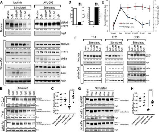 Figure 3. Ibrutinib irreversibly binds to ITK-C442 and RLK expression provides compensatory kinase activity, which protects Th1 and CD8 T cells. (A) Immunoblot analysis of 45-minute nuclear and 2-hour whole-cell extracts from ibrutinib or alternate BTK inhibitor–pretreated, freshly purified healthy donor primary CD4+ cells stimulated with anti-CD3/anti-CD28. Nuclear extracts were probed for NFAT1 and Brg1; whole-cell extracts were probed for pSTAT6-Y641, total STAT6, pIkBα-S32/36, total IkBα, JunB, and actin. (B) Immunoblot analysis of Jurkat parental, Jurkat-ITKwt, and Jurkat-ITKC442A nuclear lysates after ibrutinib pretreatment and anti-CD3/anti-CD28 stimulation. Blots were probed for NFAT1 and Brg1. (C) AUC for Fluo4-AM calcium release analysis of Jurkat-ITK and Jurkat-ITKC442A cell lines after pretreatment with ibrutinib or DMSO and stimulation with anti-CD3. Each symbol represents a single replicate experiment. Error bars represent SEM. (D) Cytokine analysis of IL-4 (black bars and right y-axis) and IFN-γ (open bars and left y-axis) media levels in anti-CD3/anti-CD28–stimulated Th1- and Th2-polarized cell cultures. These are the same cell cultures used in panels E and F. (E) Intracellular cytokine analysis of Th1(IFN-γ)– and Th2(IL-4)–polarized T-cell cultures pretreated with the indicated concentration of ibrutinib or DMSO and stimulated for 6 hours via anti-CD3/anti-CD28. Cytokine measurements were taken on separately cultured subsets of cells after 3 weeks of polarizing cell culture with weekly anti-CD3/anti-CD28 stimulation. Error bars represent SEM. (F) Th1-, Th2-, and CD8-purified primary cells were stimulated with anti-CD3/anti-CD28 after pretreatment with ibrutinib. Immunoblot analysis was conducted probing for NFAT and Brg1 as well as pIkBα-S32/36, total IkBα, and actin. (G) Immunoblot analysis of Jurkat parental, Jurkat-RLK, and Jurkat-EV (empty vector) nuclear lysates after ibrutinib pretreatment and anti-CD3/anti-CD28 stimulation. Blots were probed for NFAT1 and Brg1. (H) AUC for Fluo4-AM calcium release analysis of Jurkat-EV (empty vector) and Jurkat-RLK cell lines after pretreatment with ibrutinib or DMSO and stimulation with anti-CD3. Each symbol represents a single replicate experiment. Error bars represent SEM. Unstim, unstimulated.